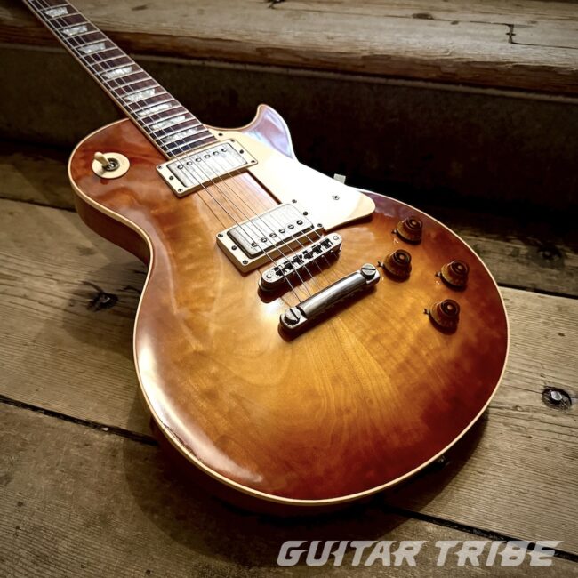1981GS001