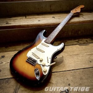 1966FS001