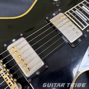 1975GS001