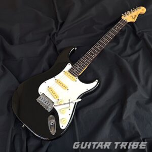 8687FS001