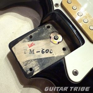 8687FS001