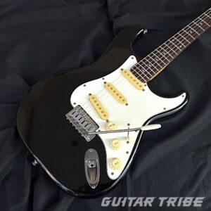 8687FS001