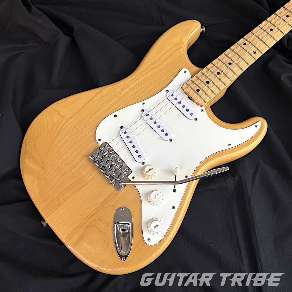 1976GS001