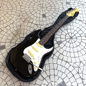 8687FS001