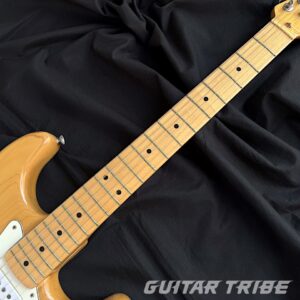 1976GS001