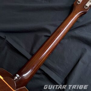 1963GA001
