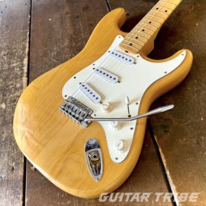 1976GS001