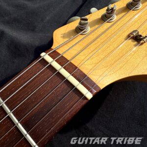 2008FS001