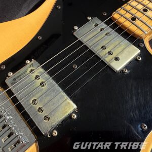 1974FS001