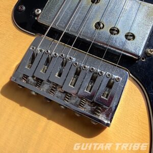 1974FS001