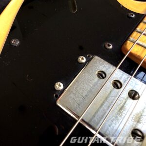 1974FS001