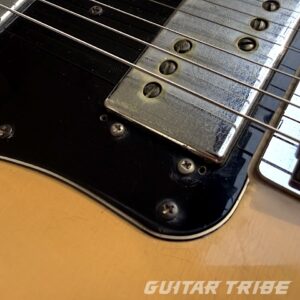 1974FS001