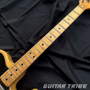 1974FS001